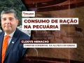 Clodys Menacho - Diretor comercial da Alltech do Brasil