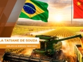 Daniela Tatiane de Souza - Analista da Embrapa Territorial