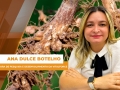 Ana Dulce Botelho - Coordenadora de Pesquisa e Desenvolvimento da Vitalforce
