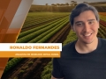 Ronaldo Fernandes - Analista de Mercado Royal Rural