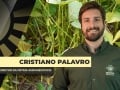 Cristiano Palavro - Diretor da Pátria Agronegócios