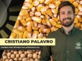 Cristiano Palavro Consultor Técnico da Aprosoja-GO