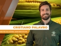 Cristiano Palavro - Diretor da Pátria Agronegócios