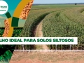 André Somavilla Coord. de Pesquisa - Ctecno Araguaia