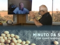 Tempo  & Dinheiro - Minuto da Soja, com Vlamir Brandalizze