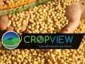 Cropview