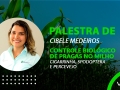 Cibele Medeiros - Palestra