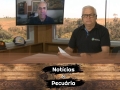 Tempo  & Dinheiro - Notícias da Pecuária, com Sérgio Braga