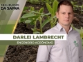 Darlei Lambrecht - Engenheiro Agrônomo