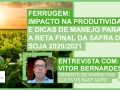 Vitor Bernardes - Gerente de Marketing cultivos e portfólio BASF