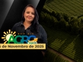 Bom Dia Agro - Com Carla Mendes