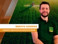 Renato Gomides - Gerente executivo da CropLife Brasil