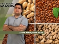 Realidades da Safra - Notícias Agrícolas