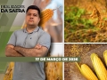 Realidades da Safra - Notícias Agrícolas