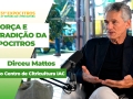 Diretor do Centro de Citricultura IAC