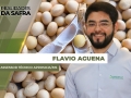Flavio Aguena - Assessor Técnico Aprosoja/MS