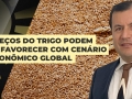 Douglas Araujo - Diretor da PRTK Consultoria