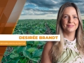 Desirée Brandt - Meteorologista da Nottus