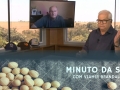 Tempo  & Dinheiro - Minuto da Soja, com Vlamir Brandalizze