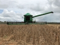 Colheita da soja em Sorriso (MT). Envio de Luimar Gemi