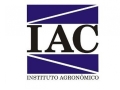Marcos Guimarães de Andrade Landell - Diretor-geral do Instituto Agronômico (IAC)