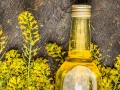canola