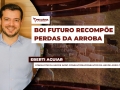 Eberti Aguiar - Consultor da Hegde Agro Consultoria