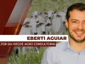 Eberti Aguiar - Consultor da Hegde Agro Consultoria