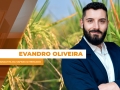 Evandro Oliveira - Analista da Safras & Mercado