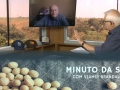 Tempo  & Dinheiro - Minuto da Soja, com Vlamir Brandalizze