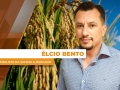 Élcio Bento - Analista da Safras & Mercado