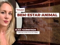 Elisa Tjarnstrom - Diretora-Executiva da COBEA