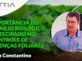 Confira a palestra de Elvis Constantino