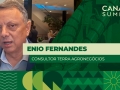 Enio Fernandes