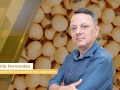 Ênio Fernandes - Consultor em Agronegócio da Terra Agronegócios