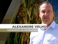Alexandre Velho - Presidente da Federarroz