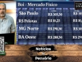 Boi gordo fecha a semana com tendência de alta para os próximos 3 meses. EUA atacam carne do Brasil