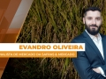 Evandro Oliveira - Analista de Mercado da Safras & Mercado