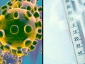 CoronaVirus + frio