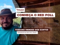 Fabiano Mendes dos Santos - Presidente da Red Poll Brasil