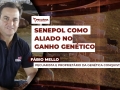 Fábio Mello - Pecuarista e Proprietário da Genética Conquista