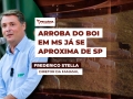 Frederico Stella - Diretor da Famasul