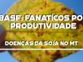 As doenças da soja presentes na BR-163 - MT
