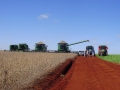 Imagem do dia - Colheita da soja em Giruá (RS), na propriedade Agropecuária Ouro Verde. Envio de Gean Bender