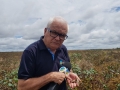 João Batista - Bicudo - 2019 - Fazenda Marabá - Campo Verde - MT