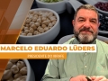 Marcelo Eduardo Lüders - Presidente do IBRAFE