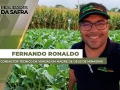 Fernando Ronaldo - Consultor Técnico de Vendas em Madre de Deus de Minas/MG