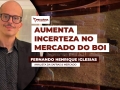Fernando Henrique Iglesias - Analista da Safras & Mercado