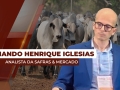 Fernando Henrique Iglesias - Analista da Safras & Mercado