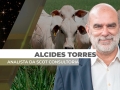 Alcides Torres - Analista de Mercado da Scot Consultoria